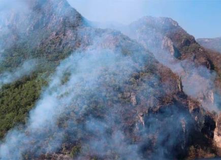 Combate de Incendio Forestal en Sinaloa: Noticias Actualizadas