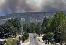 Incendio Forestal en Chihuahua y Cierre de Carretera