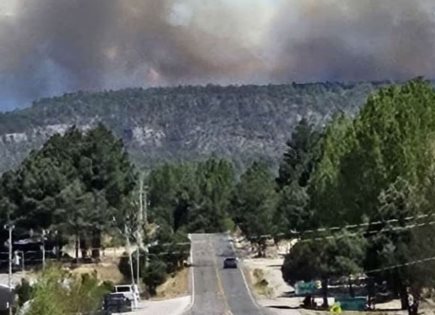 Incendio Forestal en Chihuahua y Cierre de Carretera