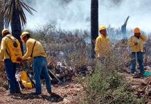 Incendios forestales en Nuevo León: Actualidad y acciones de brigadistas