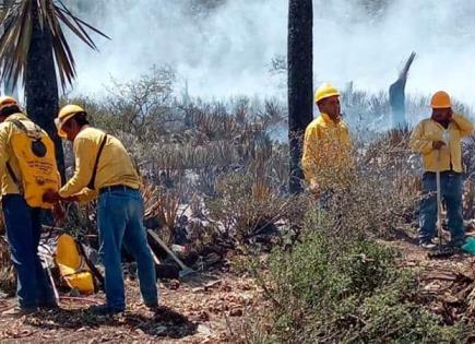 Incendios forestales en Nuevo León: Actualidad y acciones de brigadistas