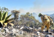 Emergencia por incendios forestales en Nuevo León