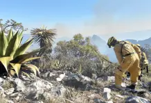 Emergencia por incendios forestales en Nuevo León