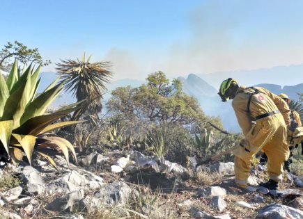 Emergencia por incendios forestales en Nuevo León