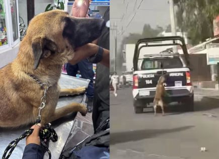 Polémica por video de perrita colgando de patrulla en Tizayuca