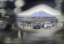 Problema con la malla negra que cubre el monte Fuji
