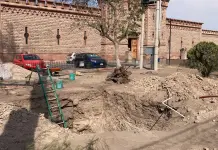 Afecta escasez de agua a jardines del CEART