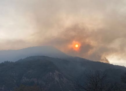 Impacto de las Lluvias y los Incendios Forestales en Nuevo León