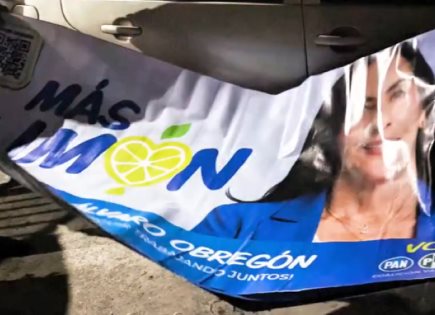 Asegura Fepade 7 toneladas de despensas con propaganda de Lía Limón