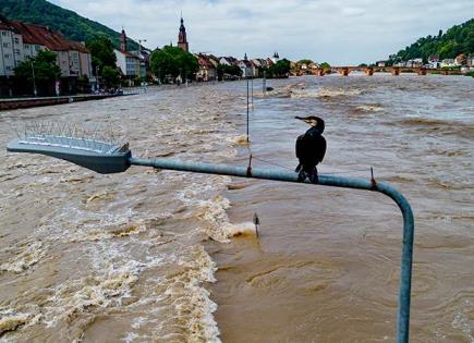 Cuatro muertos dejan las lluvias en Alemania