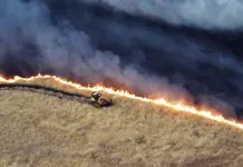 Incendio Forestal en California: Detalles y Actualizaciones