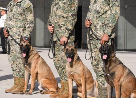Perros de la Marina se jubilan tras destacada labor