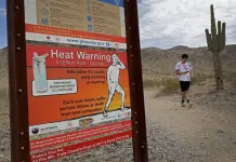 Impacto de la Ola de Calor en Arizona