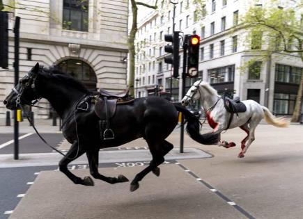 Recuperación de caballos militares en Londres