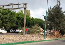 Fuertes r&aacute;fagas de viento en la zona metropolitana de SLP causan estragos