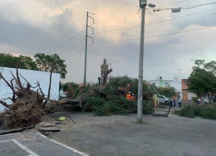 Impacto de los Vientos Fuertes en San Luis Potosí