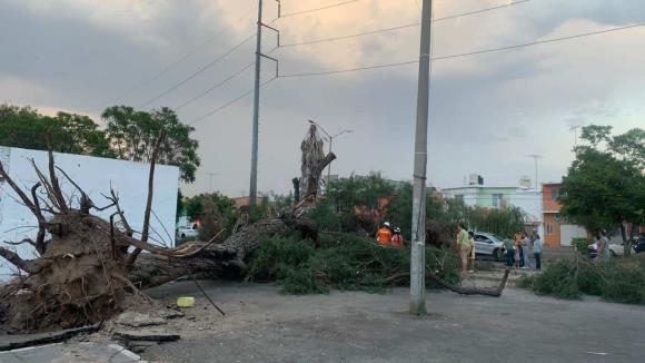 Impacto de los Vientos Fuertes en San Luis Potosí