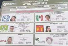 A distancia  y sin avisar, la hicieron candidata