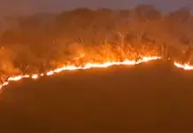 Acciones de Protecci&oacute;n Civil en incendio forestal de Cuernavaca