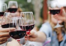 Degustación de vinos en Ribera del Duero: Una experiencia única Degustación de vinos en Ribera del Duero: Una experiencia única