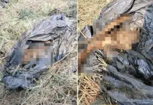 Hallazgo de restos humanos en Reynosa, Tamaulipas