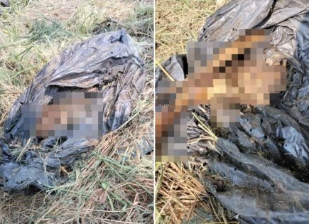 Hallazgo de restos humanos en Reynosa, Tamaulipas