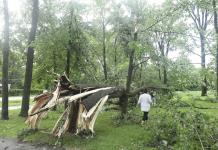 Tornados mortales en Michigan y Maryland