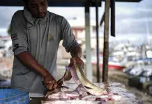 FAO: Consumo de alimentos acu&aacute;ticos es clave contra el hambre global