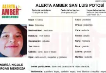Alerta Amber para localizar a una adolescente de 13 a&ntilde;os