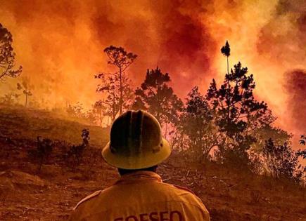 Oaxaca pide ayuda contra incendios