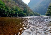 Se indaga probable daño ambiental en el río Tampaón: Segam