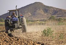 Apoyo a productores agrícolas en Sinaloa