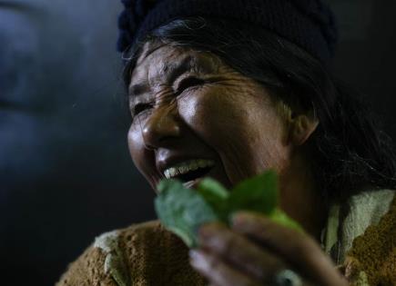 Cerveza de Hoja de Coca: Tradición y Modernidad en Bolivia