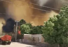 Incendio Forestal en Guaymas: &Uacute;ltimas Noticias y Actualizaciones