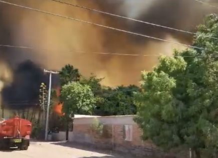 Incendio Forestal en Guaymas: Últimas Noticias y Actualizaciones