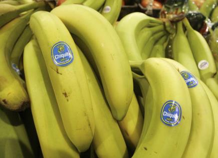 Veredicto histórico: Chiquita Brands y su responsabilidad en Colombia