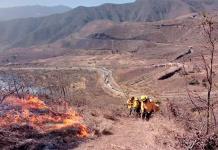 Veracruz combate 15 incendios forestales