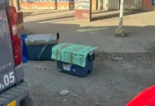 Dejan restos humanos dentro de hieleras en Tamu&iacute;n