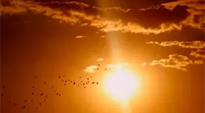 CDMX tendrá día más largo con solsticio de verano