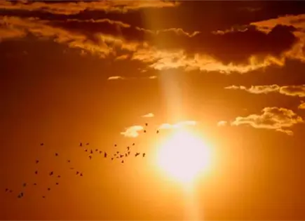 CDMX tendrá día más largo con solsticio de verano CDMX tendrá día más largo con solsticio de verano