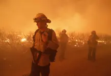 Incendio Forestal en Los &Aacute;ngeles y Evacuaci&oacute;n Masiva
