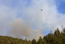 Incendio Forestal en Nuevo México Incendio Forestal en Nuevo México