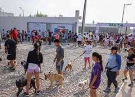 Asociación Perrotown celebra 10 aniversario