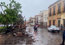 Tormenta Alberto provoca intensas lluvias y fuertes vientos en Zacatecas