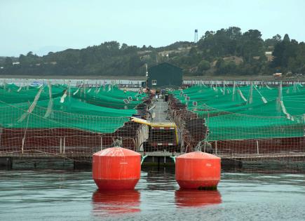 Carta a empresas de certificación por la defensa de la naturaleza