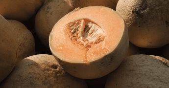 Beneficios nutricionales y para la salud del melón