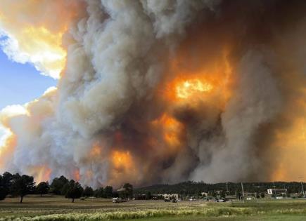 Impacto de las lluvias y el clima en los incendios forestales de Nuevo México