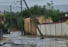 CFE despliega equipo para atender daños por huracán Beryl en Quintana Roo CFE despliega equipo para atender daños por huracán Beryl en Quintana Roo