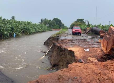 Situación crítica en Chiapas: Productores piden ayuda por lluvias