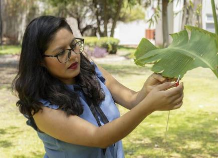 La científica mexicana Laura Xóchitl Cruz y la música de las plantas